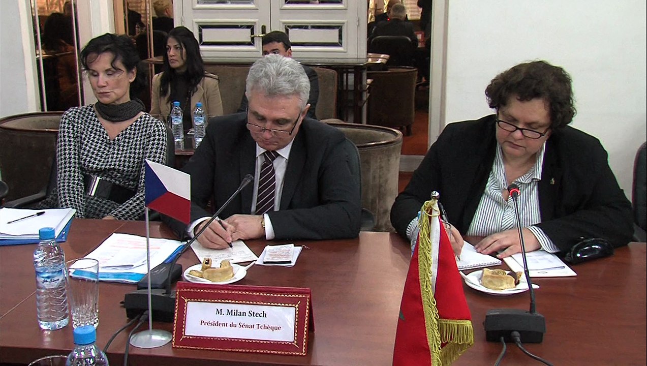 النائب الأول لرئيس مجلس النواب يتباحث مع رئيس مجلس الشيوخ التشيكي