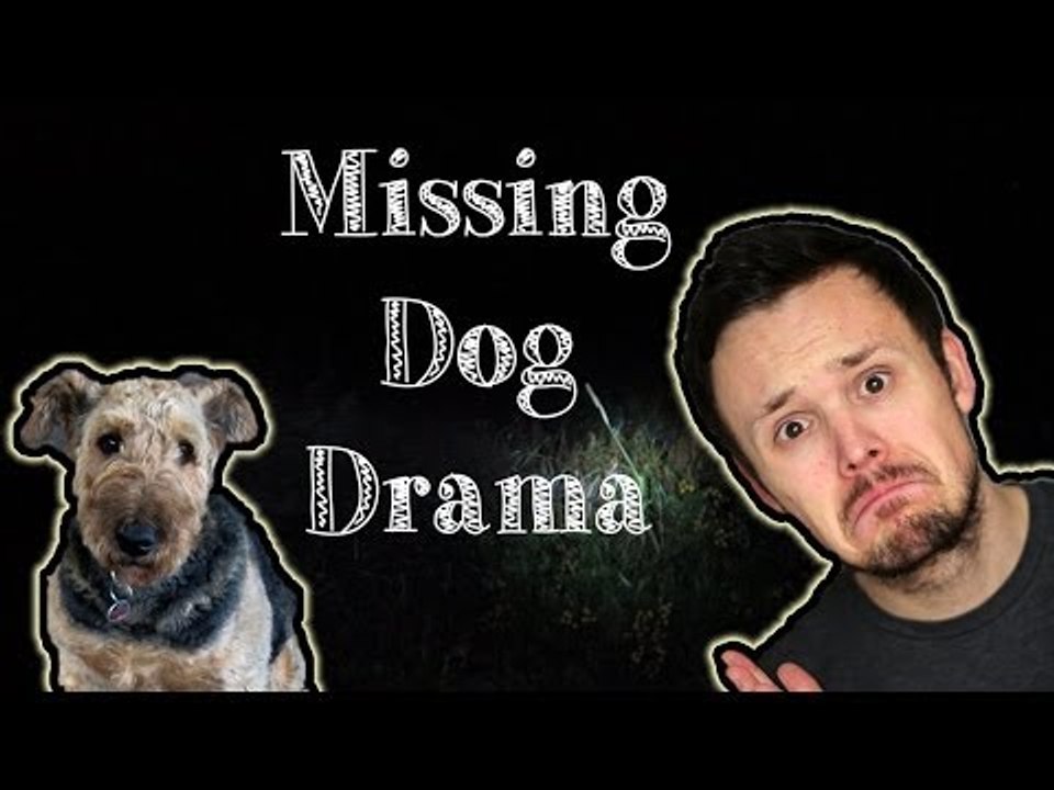 Missing Dog Drama | Get Germanized Vlogs | Episode 30