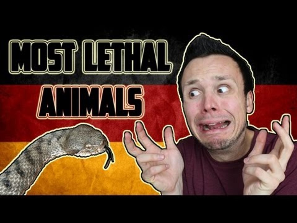 Poisonous German Wildlife - Giftige Tiere in Deutschland