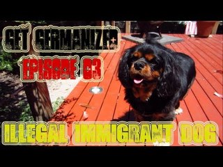 Illegal Immigrant Dog | Get Germanized Vlogs | Episode 03