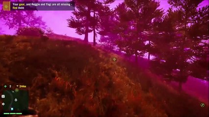 How to complete the Burning Forest Yogi & Reggie mission Walk Through (More of a Run Thru!)