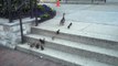 Ducklings and Stairs Challenge - Утята преодолевают ступеньки - прикол !
