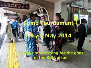 Sumo Tokyo 2014
