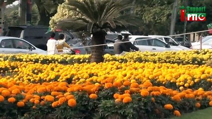 Lahore Youth Rejects Old Parties Looting Pakistan