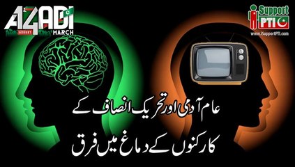 difference between PTI and Patwari Brains