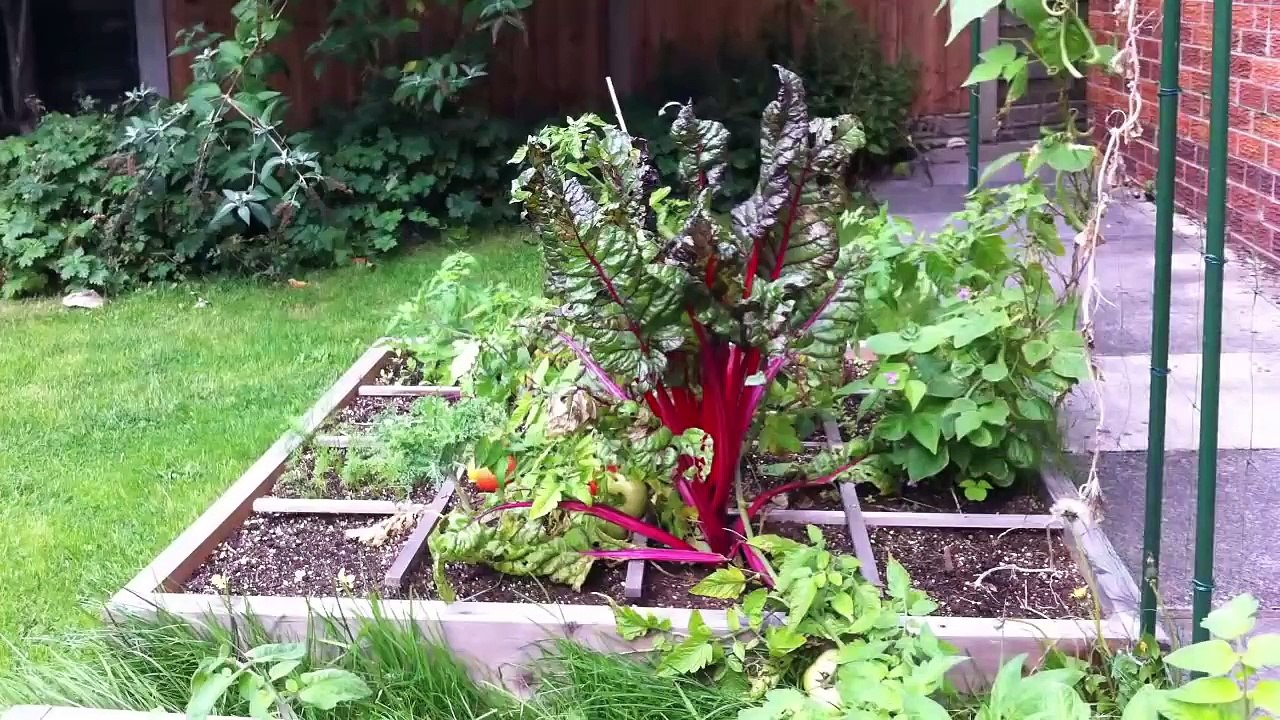 Growing-Enough-Food-to-Feed-a-Family---How-Much-Do-You-Need-to-Plant