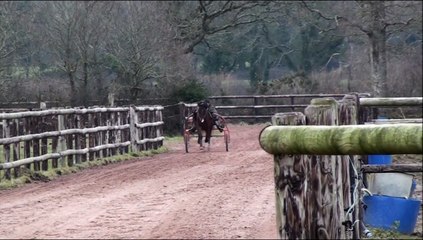 D Day des Edènes TF