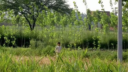 ESPN Films Presents - The Little Master - 2011 Cricket World Cup
