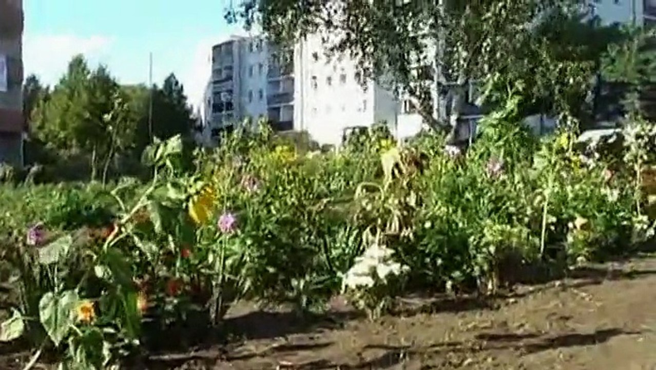 Stadtgarten in hellersdorf