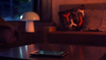 Life is on by Schneider Electric - Raccoon Dance Party-HD