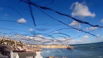 Trajectoires des Mouettes dans le ciel