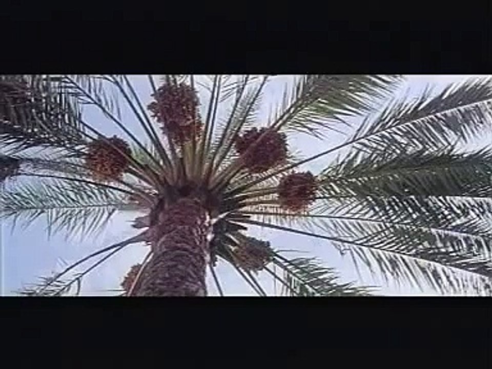 Hz.Meryem Dizi , مریم مقدس‎ , Saint Mary - 11.Bölüm