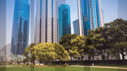 Best Commercial Pest Control Company in FL & NY