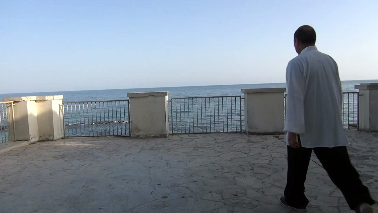 CORSI DI TAI CHI E QI GONG da 10 EURO A ROMA: FORMA 8 PRIMA VISIONE POSTERIORE