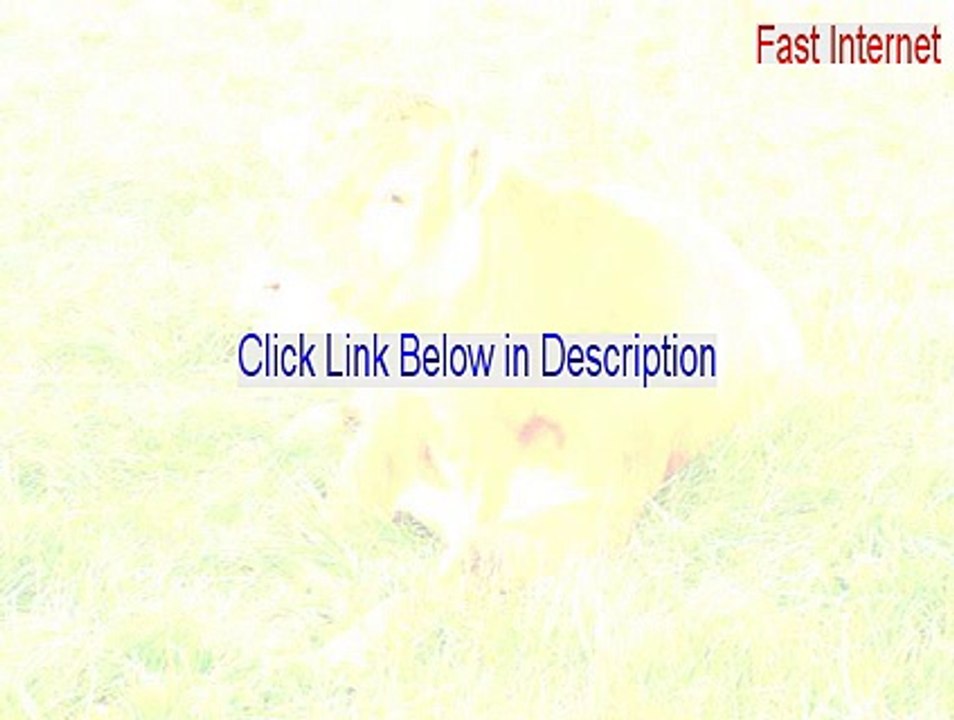 Fast Internet Crack - Instant Download [2015]