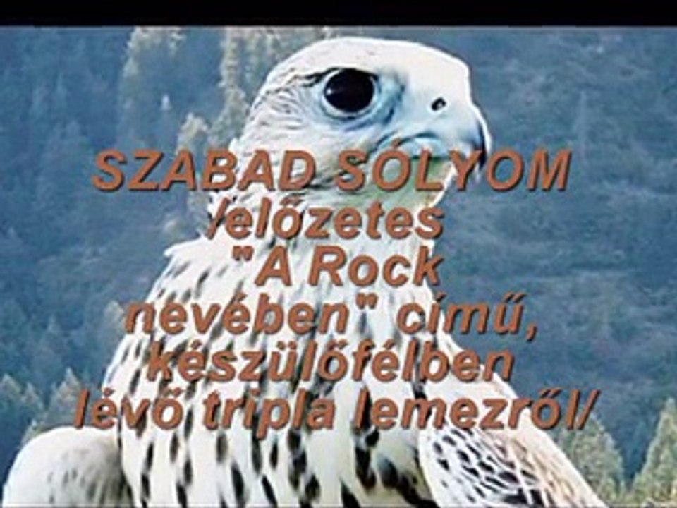 "A Rock nevében!" 15./Szabad sólyom-Ének:Beck András-Szöveg:Kerékgyártó Dénes-zene:Speck János