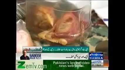 Fake Peer exposed in Qutab Online