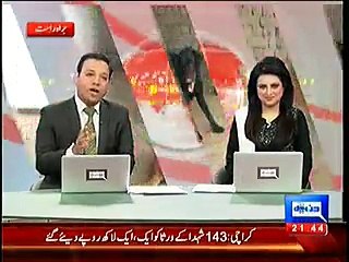 Funny Monkey Irritating Dog in Sheikhupura