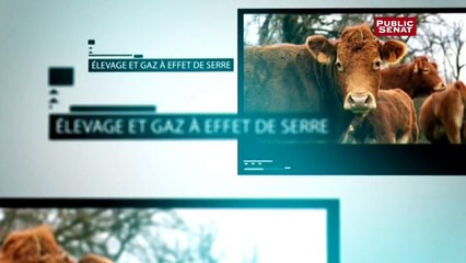 L'écho de l'agriculture - Elevage et gaz à effet de serre