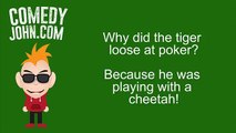 Tiger Jokes - Jungle - Short Funny Animal Jokes
