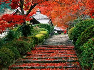 DIL DENE SE PAHLE DOBARA SOCHNA