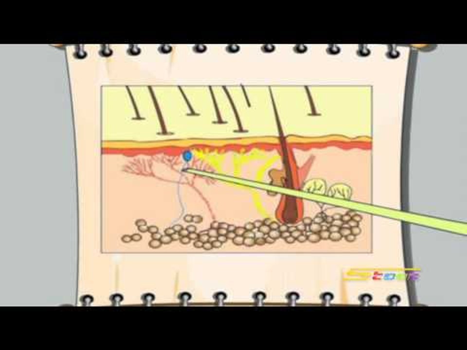 وصفية الصحفية الحلقة 8 - سبيس تون - Spacetoon