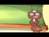 عائلة النمل الحلقة 9 - سبيس تون - Spacetoon