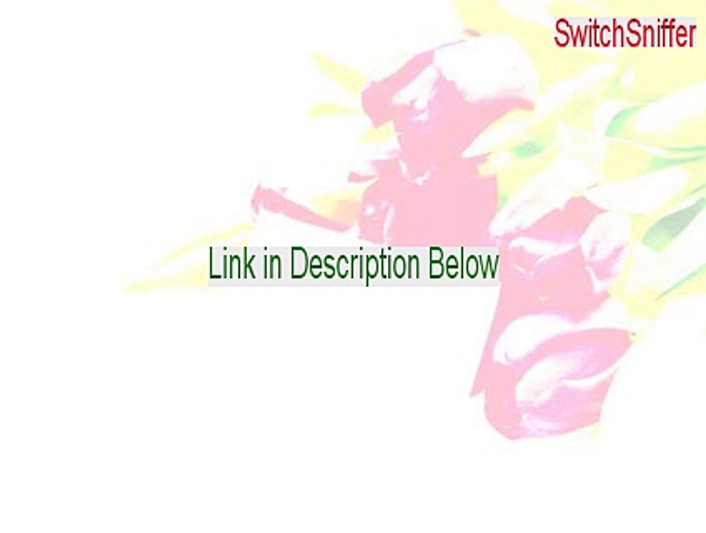 TÉLÉCHARGER SWITCHSNIFFER CRACK