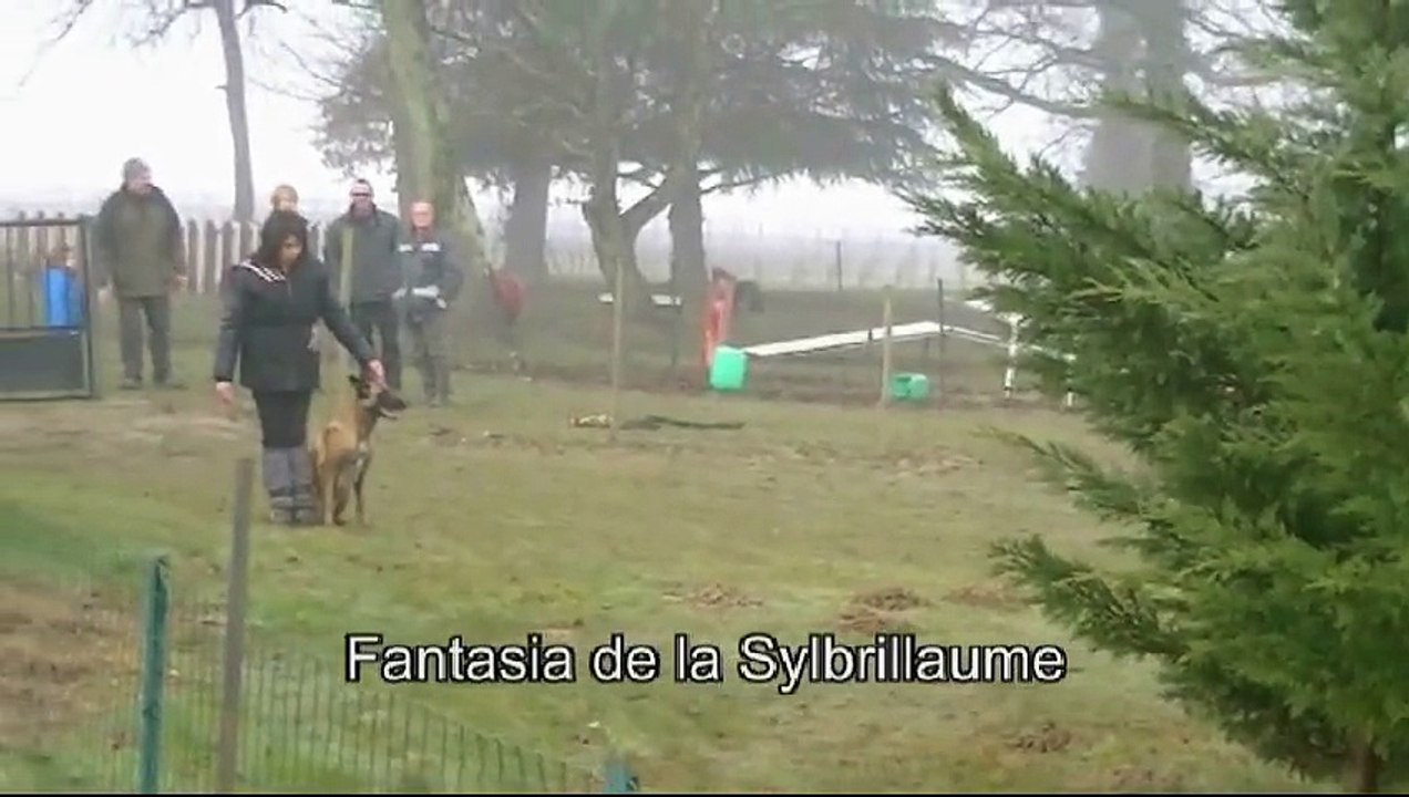 L'équipe Mondioring entrainée par Jean Rabille à Tresses