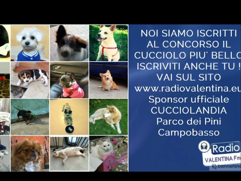 CONCORSO IL CUCCIOLO PIU' BELLO