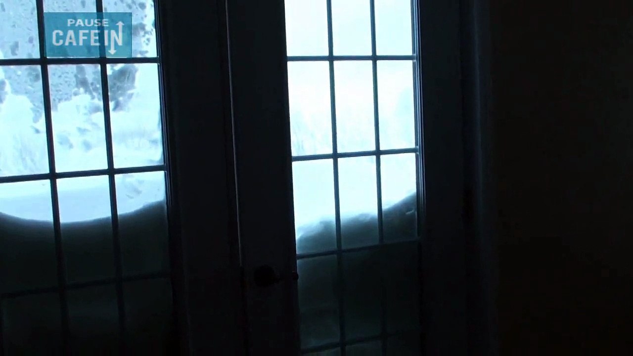 Un chat magicien fait une apparition à travers la neige !