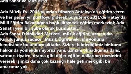 Ada Sanat ve Müzik Evi