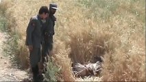Cameraman captures Afghan bomb footage - 21 May 07