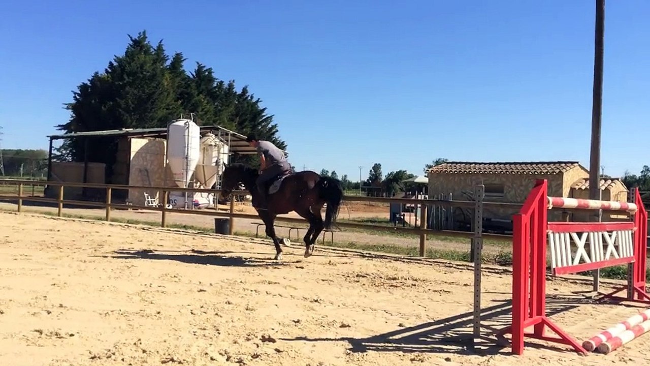 5ans Calvaro Al Capone