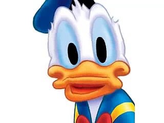 Crazy Talk Duckjob - Donald Duck gets a blowjob