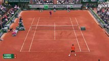 Un juge de ligne hurle et surprend Novak Djokovic