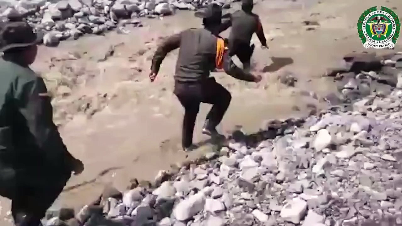 A Dog Being Saved From Colombian Landslide