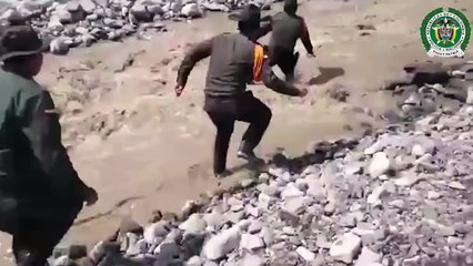 A Dog Being Saved From Colombian Landslide