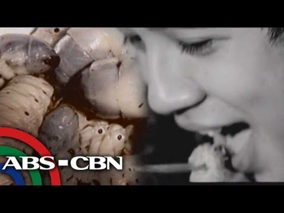 Yves Flores eats coconut worm or uok