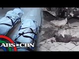 5 stabbed dead in Baguio