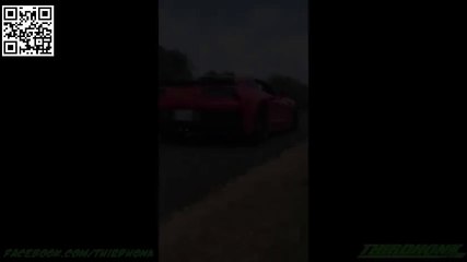 Chevrolet Corvette Z06 bate em árvore