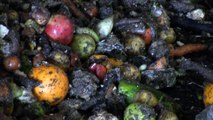 Turn organic waste into valuable biogas and nutrient rich compost (HD)