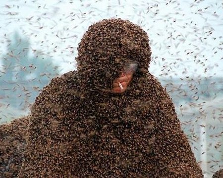 Chino bate récord mundial al cubrir su cuerpo con un millón de abejas