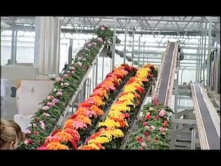 order picking and delivery system greenhouse logistics