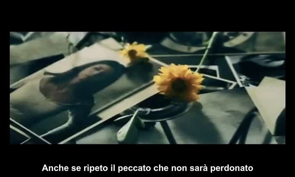 fiore video