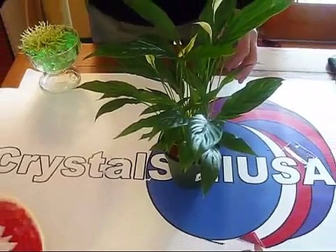 Automatic Plant Watering Crystal Soil