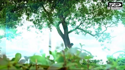 Chuye dile monDj X Ft. Dj Pinku Remix(SD Brother's Visual)