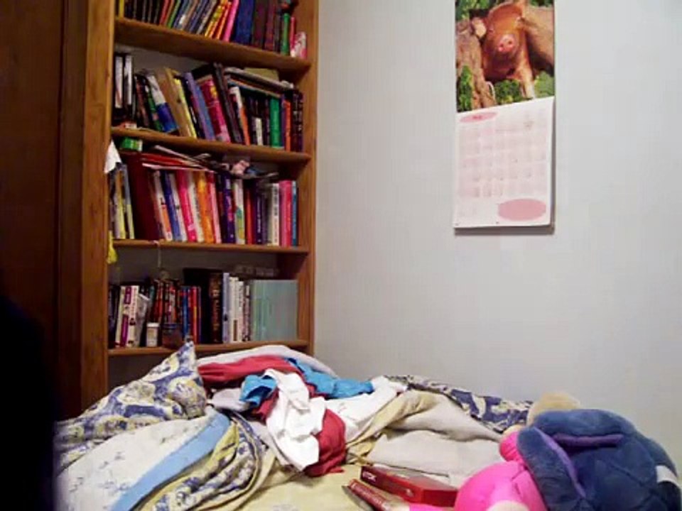 Cleaning Off My Bed