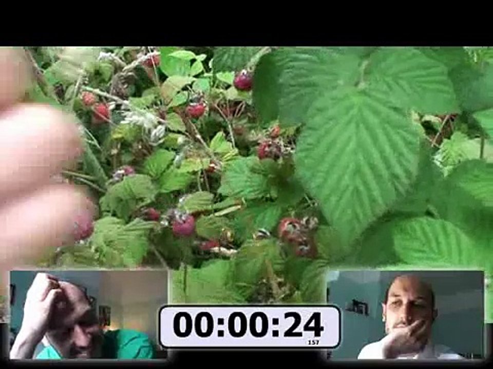 I ♥ videos in videos