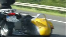 Cane in autostrada sul sidecar (Dog in the sidecar)